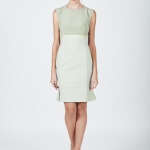 Sheath Dress